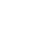 Custom Web Application Development