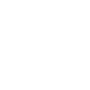 Security Risks
